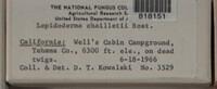 Image Associated With the Occurence